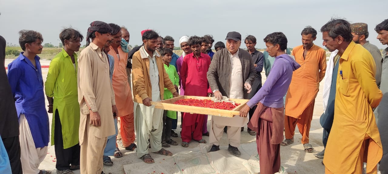 Shan Foods’ Kunri initiative contributes to a greener future with direct support to Pakistan’s farming communities